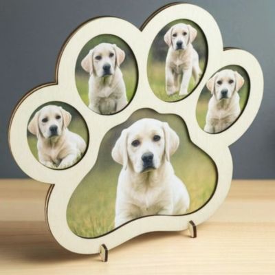 Cadre « Patte » 5 photos