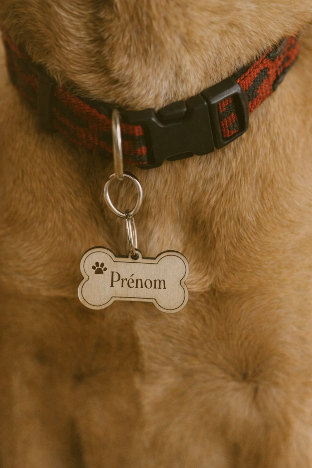 Médaillon personnalisé pour chien
