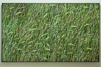 Grasslands