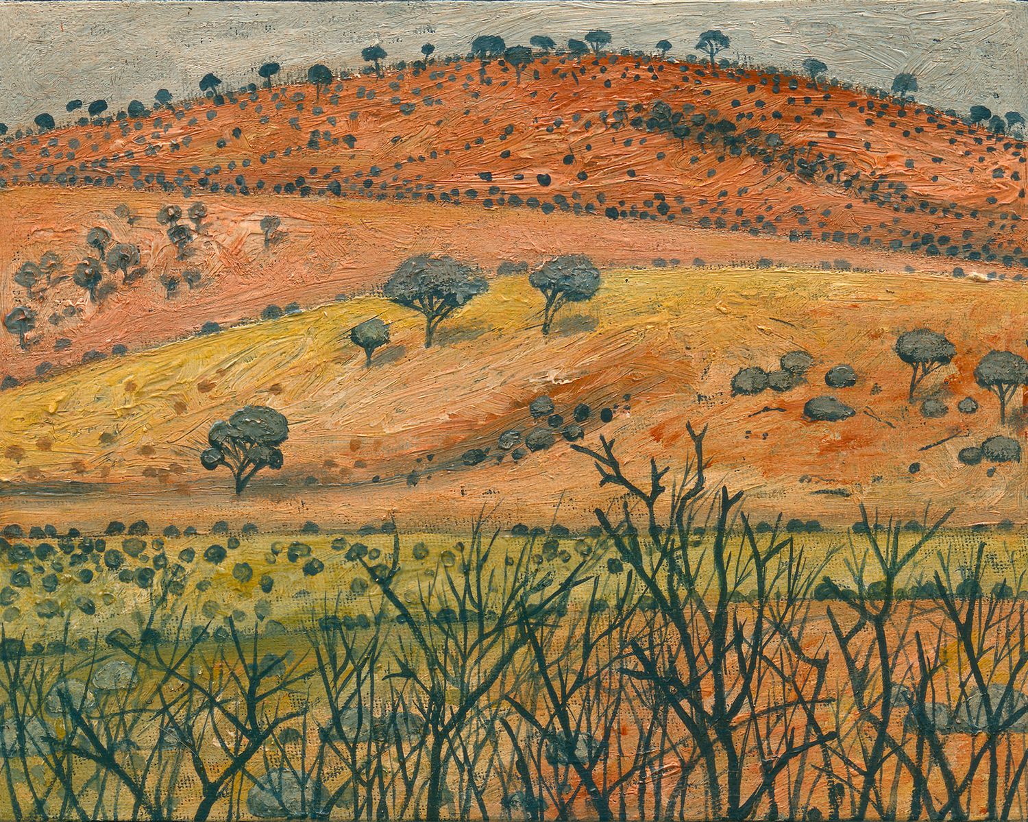 Beautiful Australian landscape with gentle golden greenish hills. A glowing and very attractive fine art print.