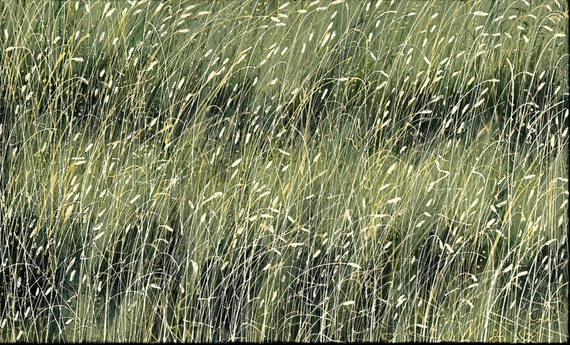 Beautiful close-up detailed painting of very long grass with seed heads in natural dry summer colours; pale greens, golds and grey.  A large and very relaxing fine art print for your home,