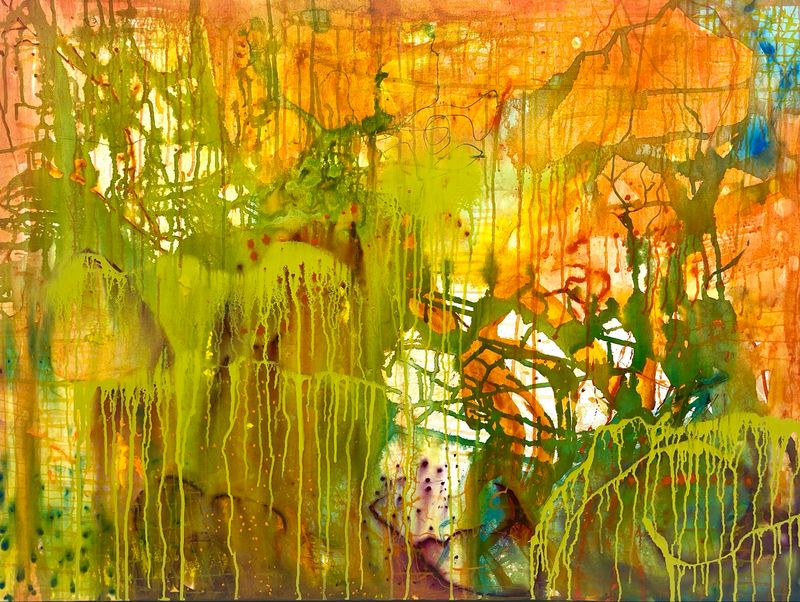 RAINFOREST DREAMING