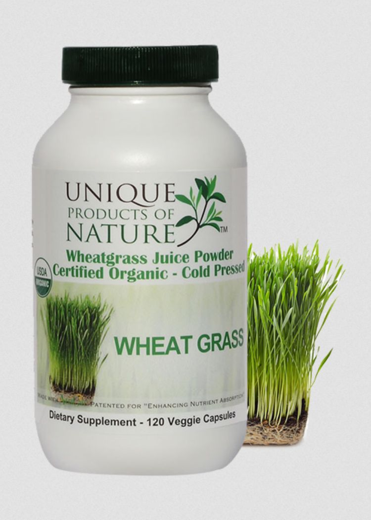 UNIQUE WHEAT GRASS 120VC