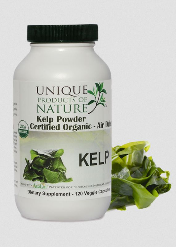 UNIQUE KELP 120VC
