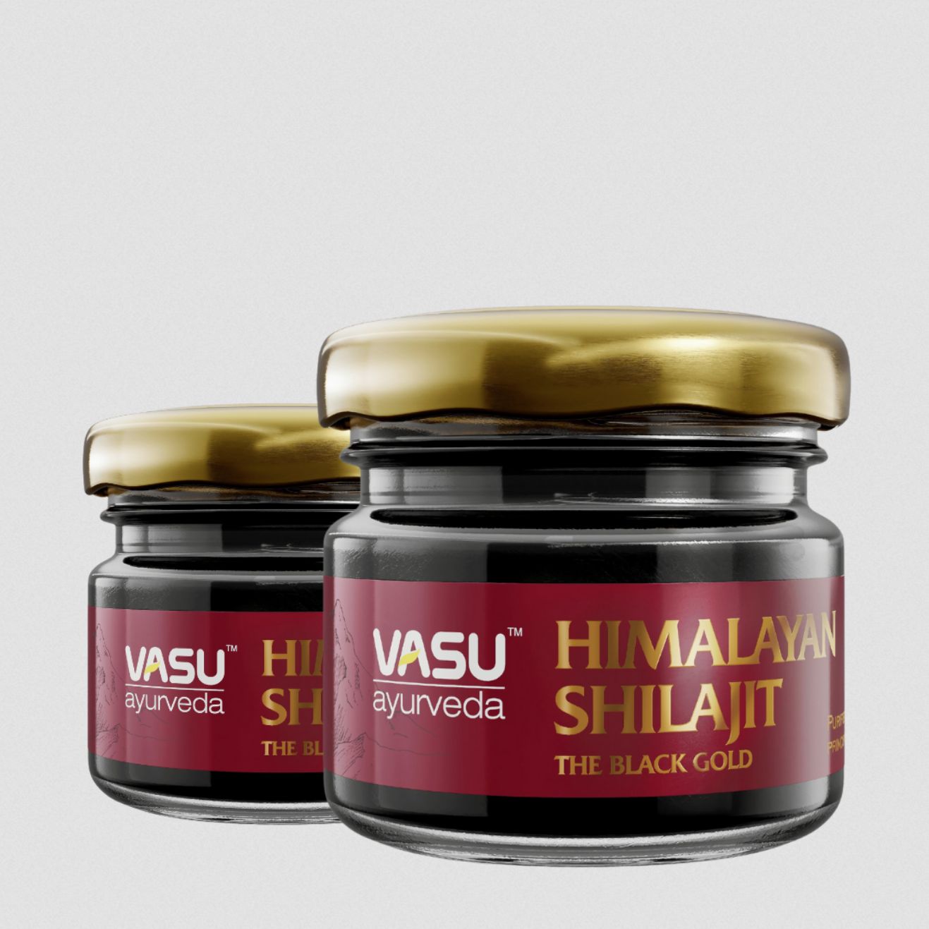 VASU AYURVEDA HILALAYAN SHILAJIT