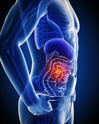 DIGESTION