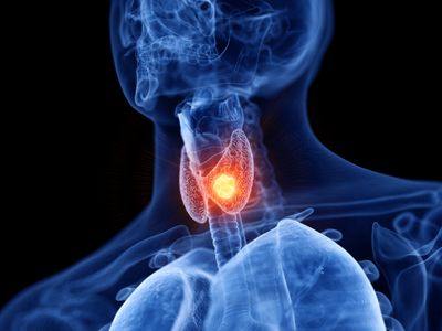 THYROID SUPPORT