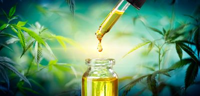 CBD / HEMP