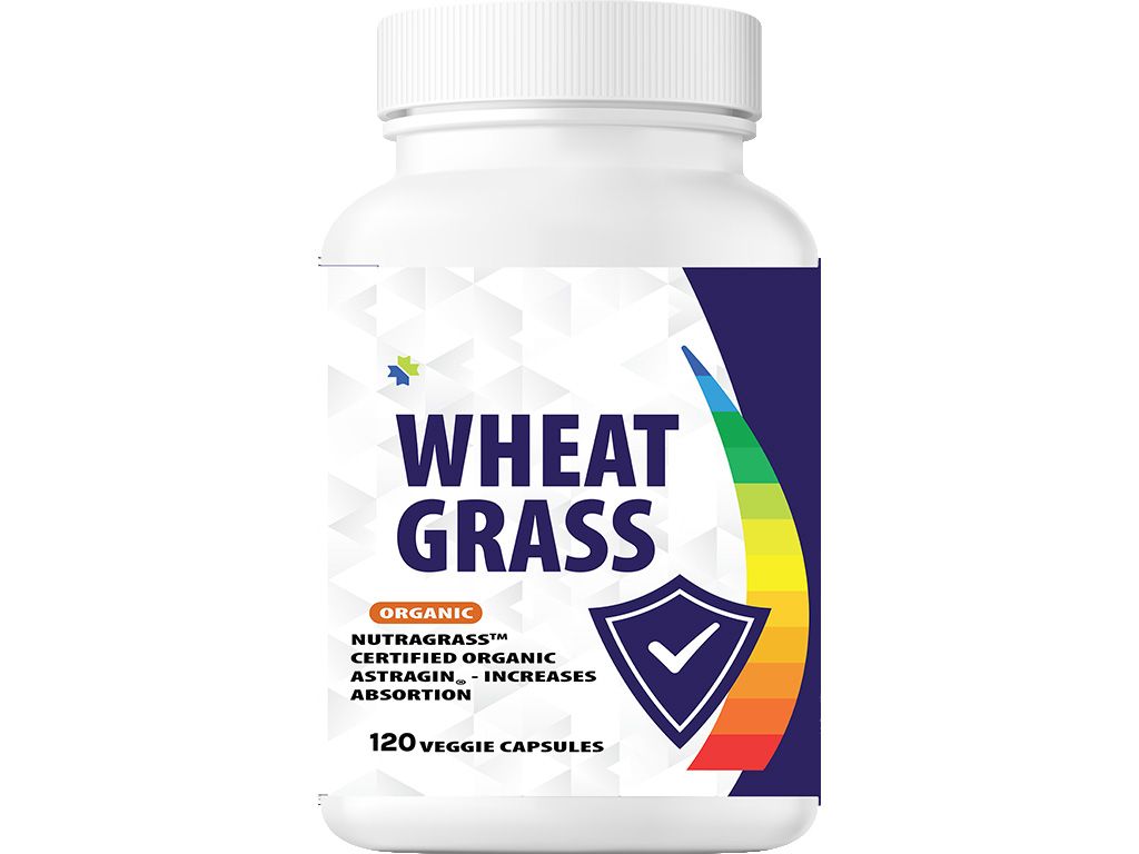 UNIQUE WHEAT GRASS 120VC