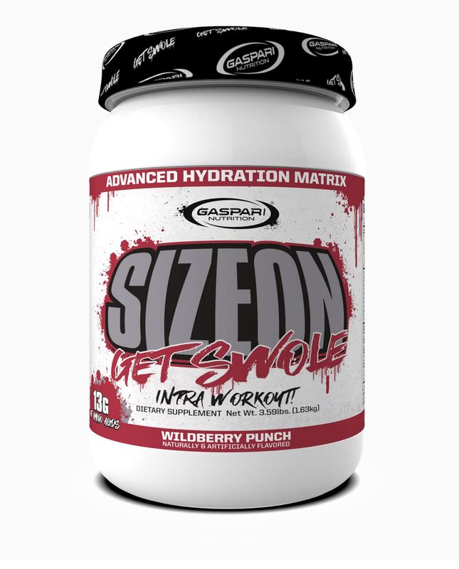GASPARI SIZE ON 24SVG
