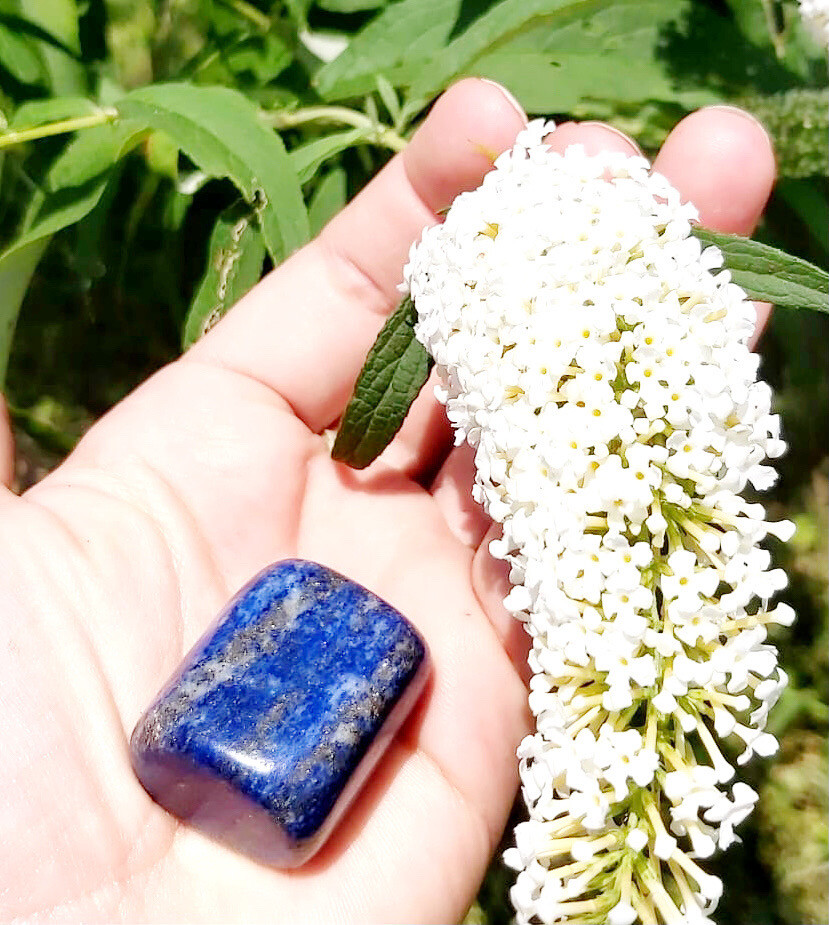Lapis Lazuli n°255