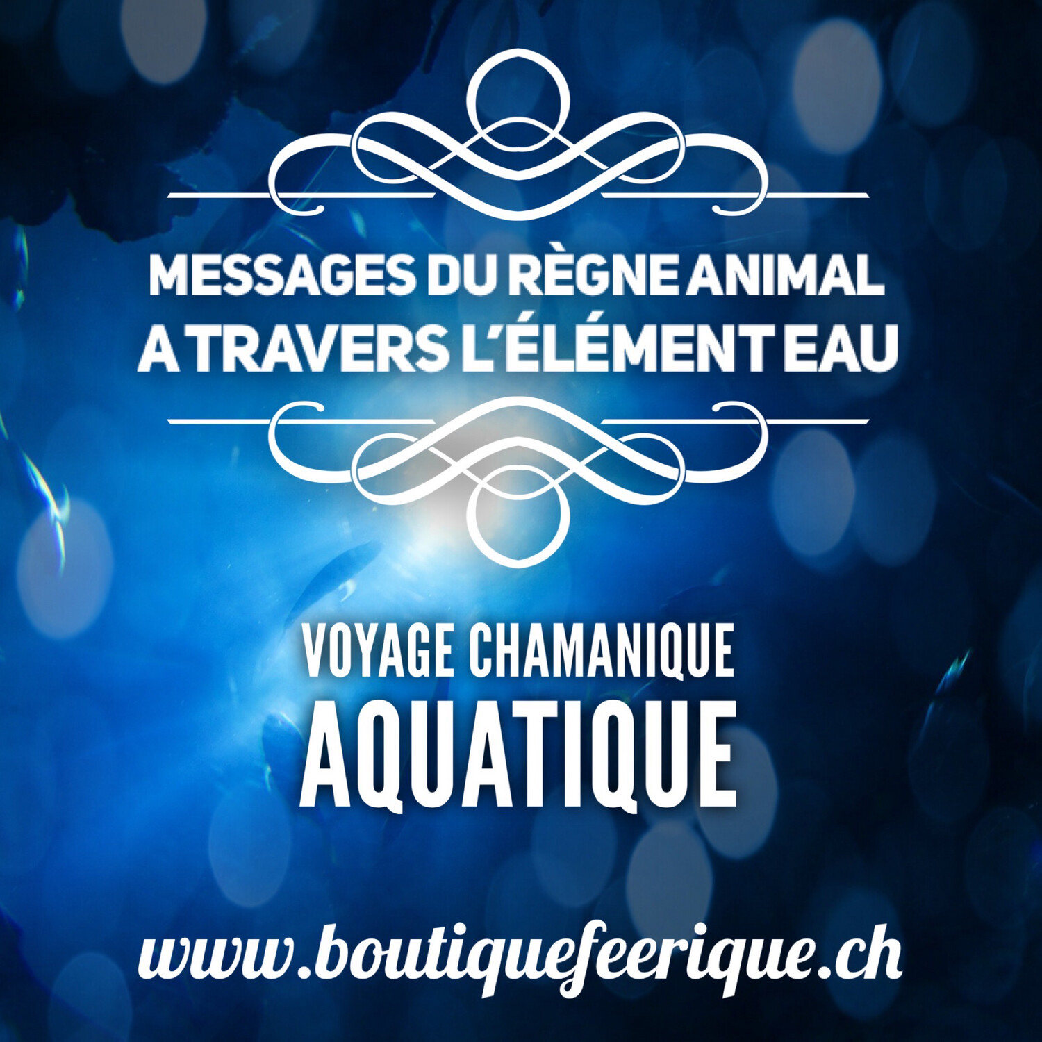 Voyage chamanique aquatique « messages du règne animal à travers l’élément eau »