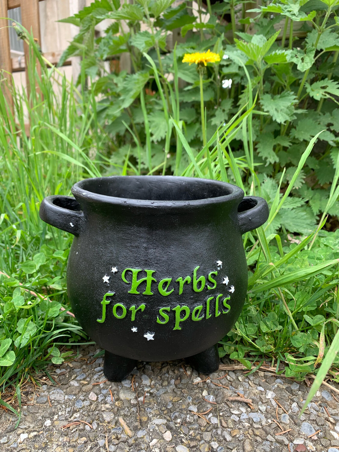 Pot de plantes chaudron « Herbs for spell »