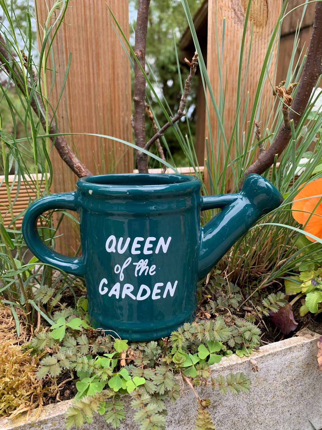 Tasse « Queen of the garden » verte style arrosoir