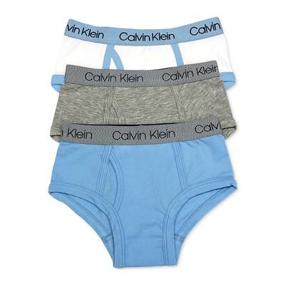 Calvin Klein Little &amp; Big Boys 3-Pk. Briefs - Blue Bell /Heather Grey