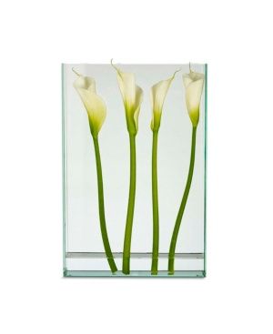 Design Ideas Vision Vase - Extra Large Rectangle