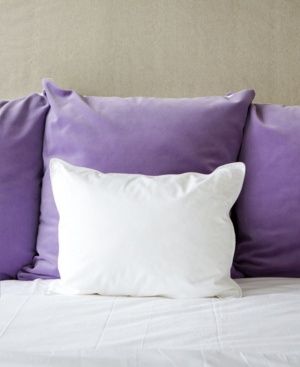 The Pillow Bar Down Alternative Travel/Boudior Pillow - White