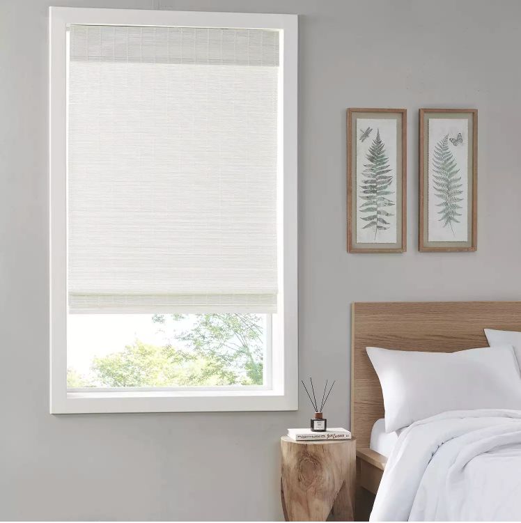 Madison Park Oakley Bamboo Light Filtering Cordless Roman Shade, Beig/Green, 27X64