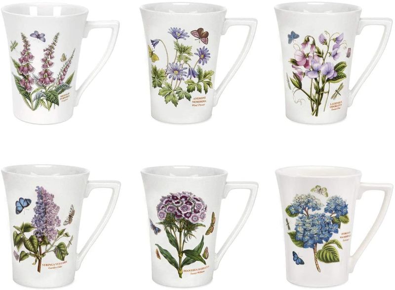 Portmeirion Botanic Garden Mug Set of 6
