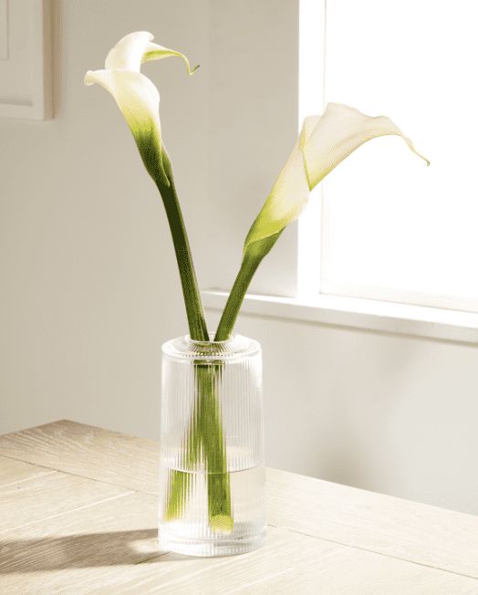 Hotel Collection Small Glass Vase with Lid