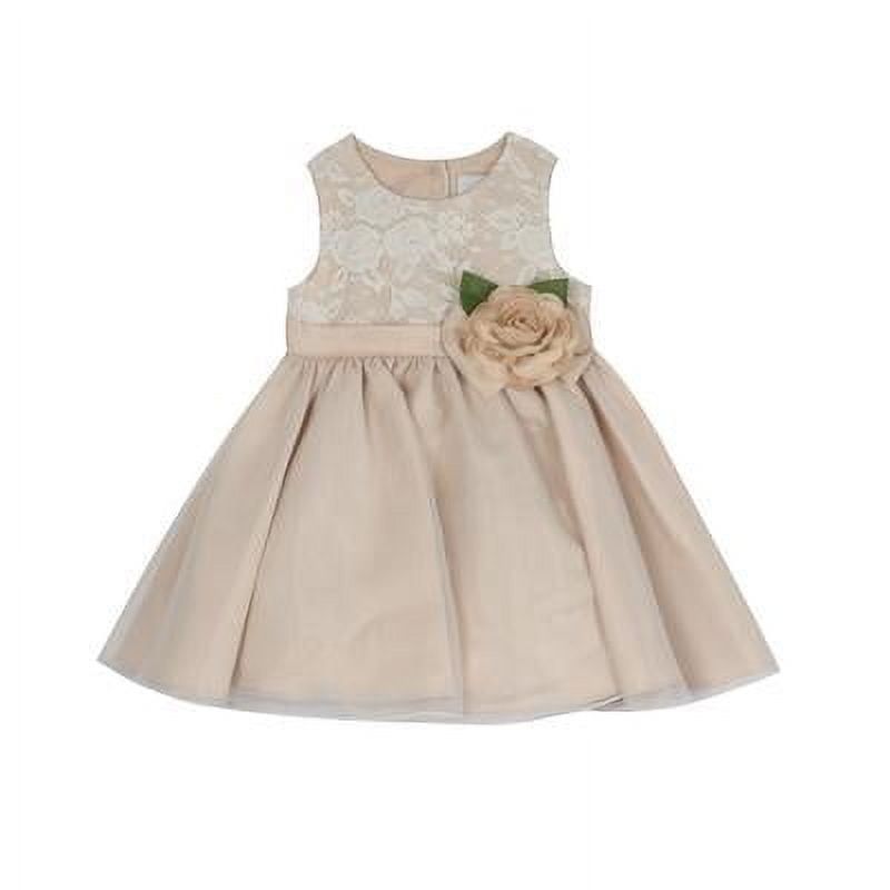 Rare Editions Baby Girls Lace Bodice to Organza Skirt with Flower - Taupe