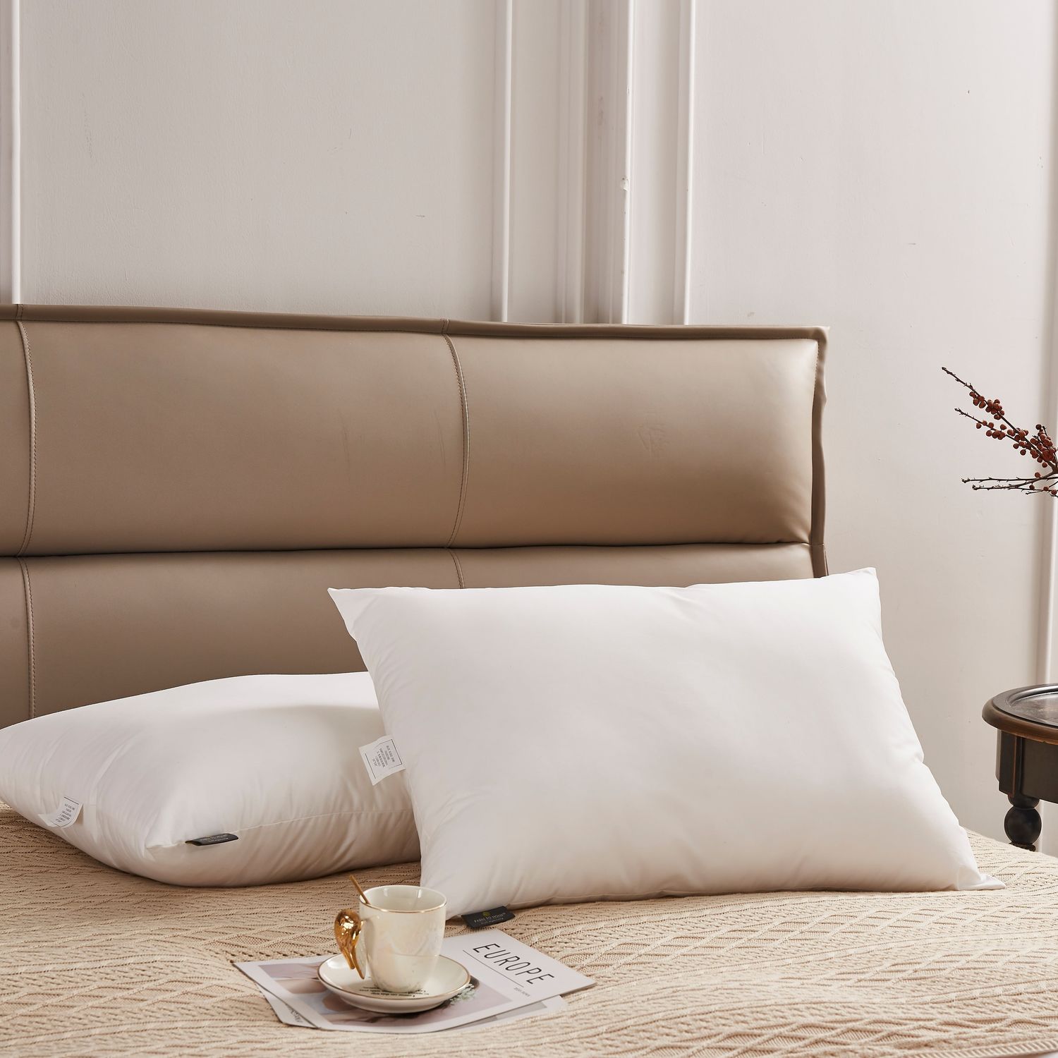 Farm to Home 2-pack Organic Cotton Cover Pillows - King