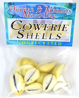 Cowrie Shells (Concha De Caliri) Consecrated