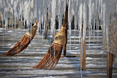 BROOMS
