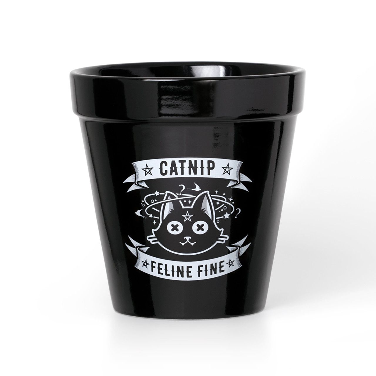 Catnip Plant Pot