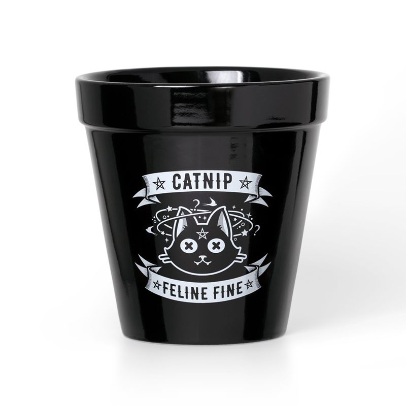 Catnip Plant Pot