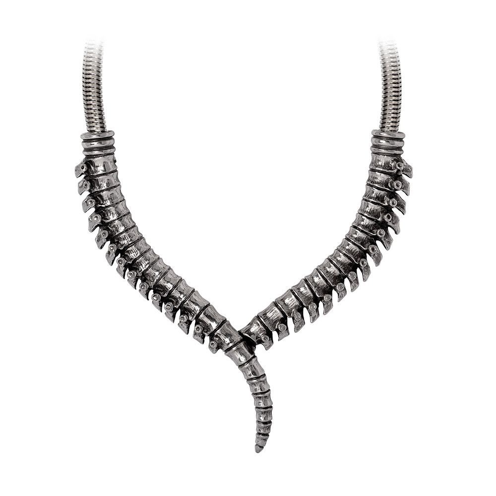 Stunning Thoracic Collar Necklace