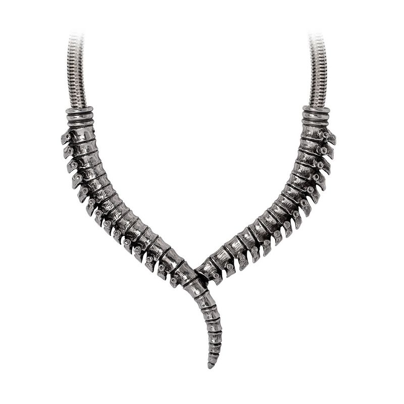 Stunning Thoracic Collar Necklace