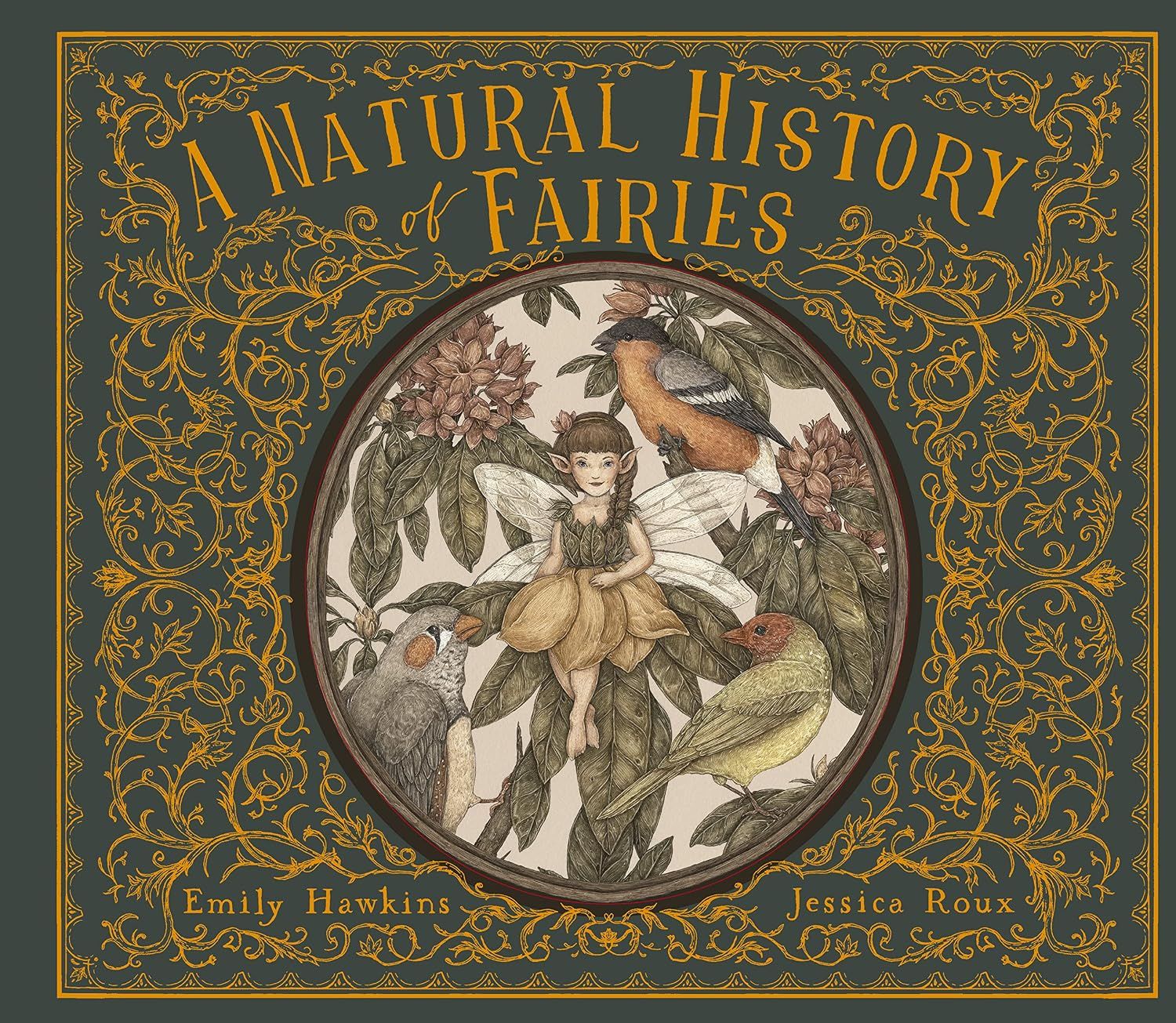 Natural History of Fairies (hc) by Hawkins &amp; Roux