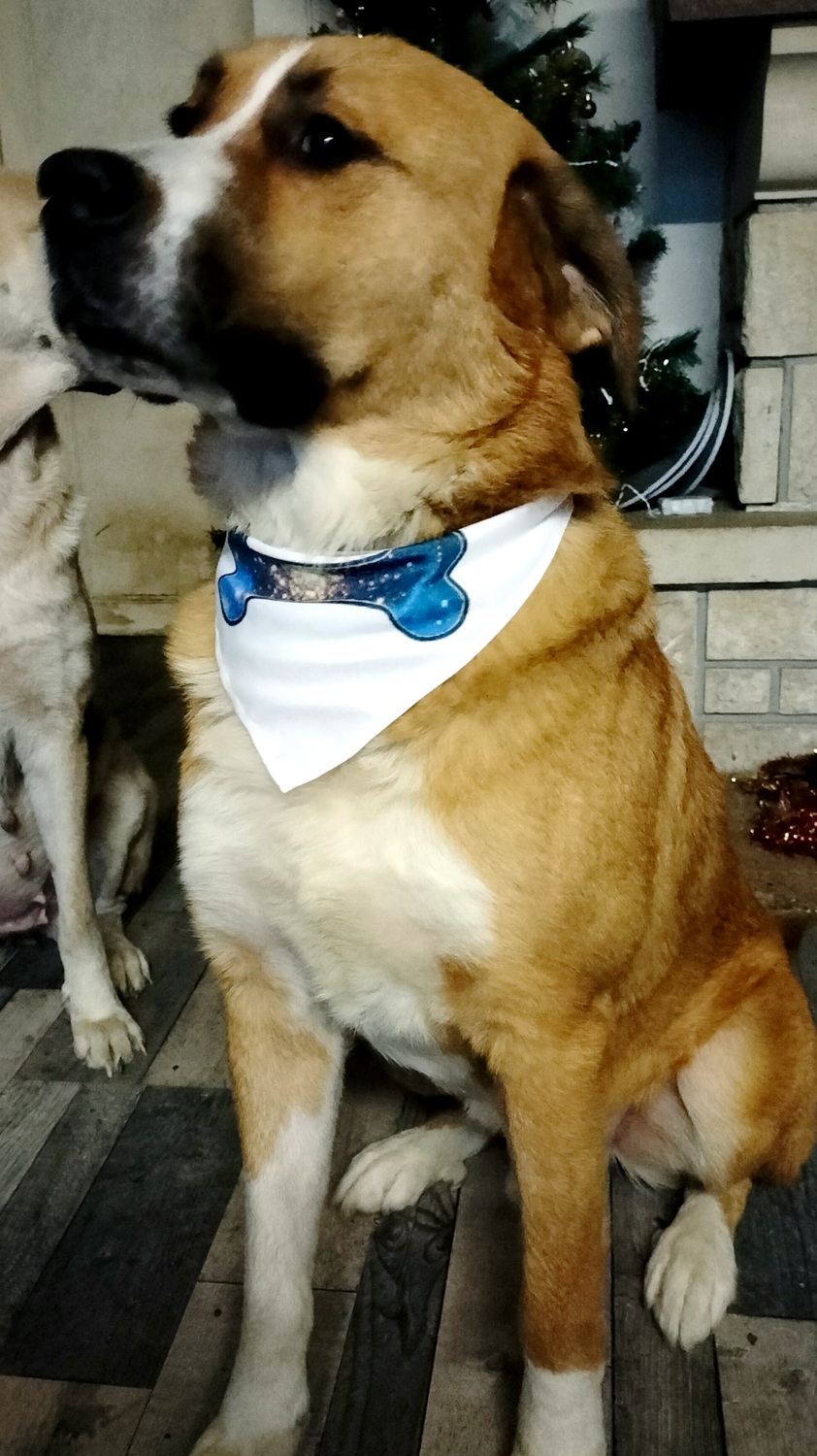 Bandana personnalisable