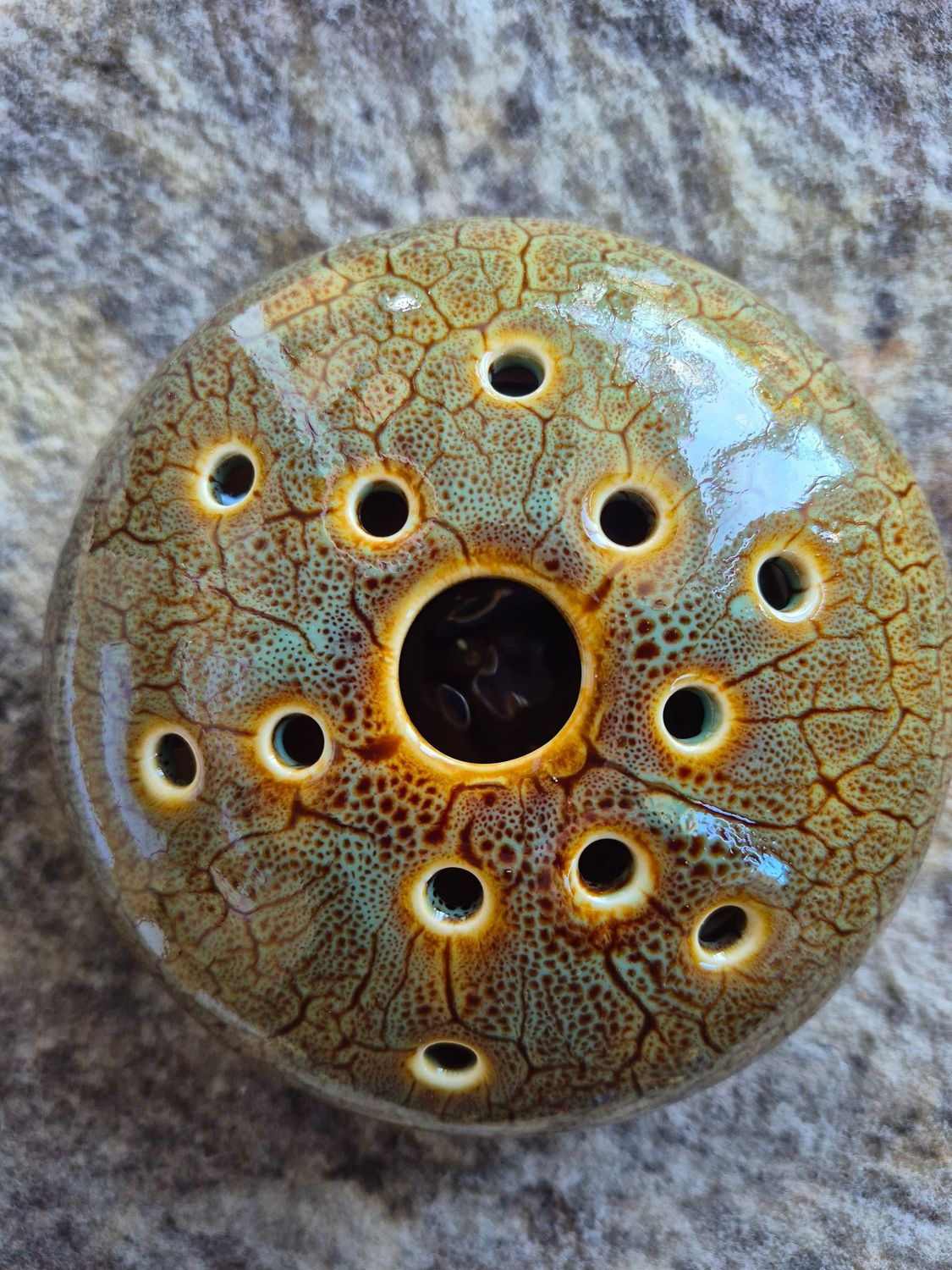 Turtle Shell PoseyPot™