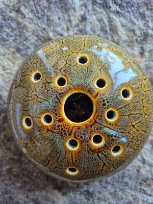 Turtle Shell PoseyPot™