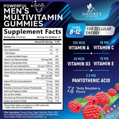 Men Multi Vitamin Gummy - Multi-Vitamin for Men Daily Nutritional Support with Vitamins A, C, D, E, B12, Zinc, Folate, Biotin &amp; More - Energy, Memory, Focus &amp; Immune Health Support - 60 Gummies