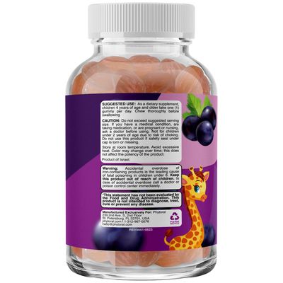 Multivitamin with Iron Gummies for Kids - Chewable Iron Gummy Vitamins for Kids Focus Aid and Natural Energy Supplement - Kids Gummy Vitamins with Iron for Immune Support Mental Clarity and Focus