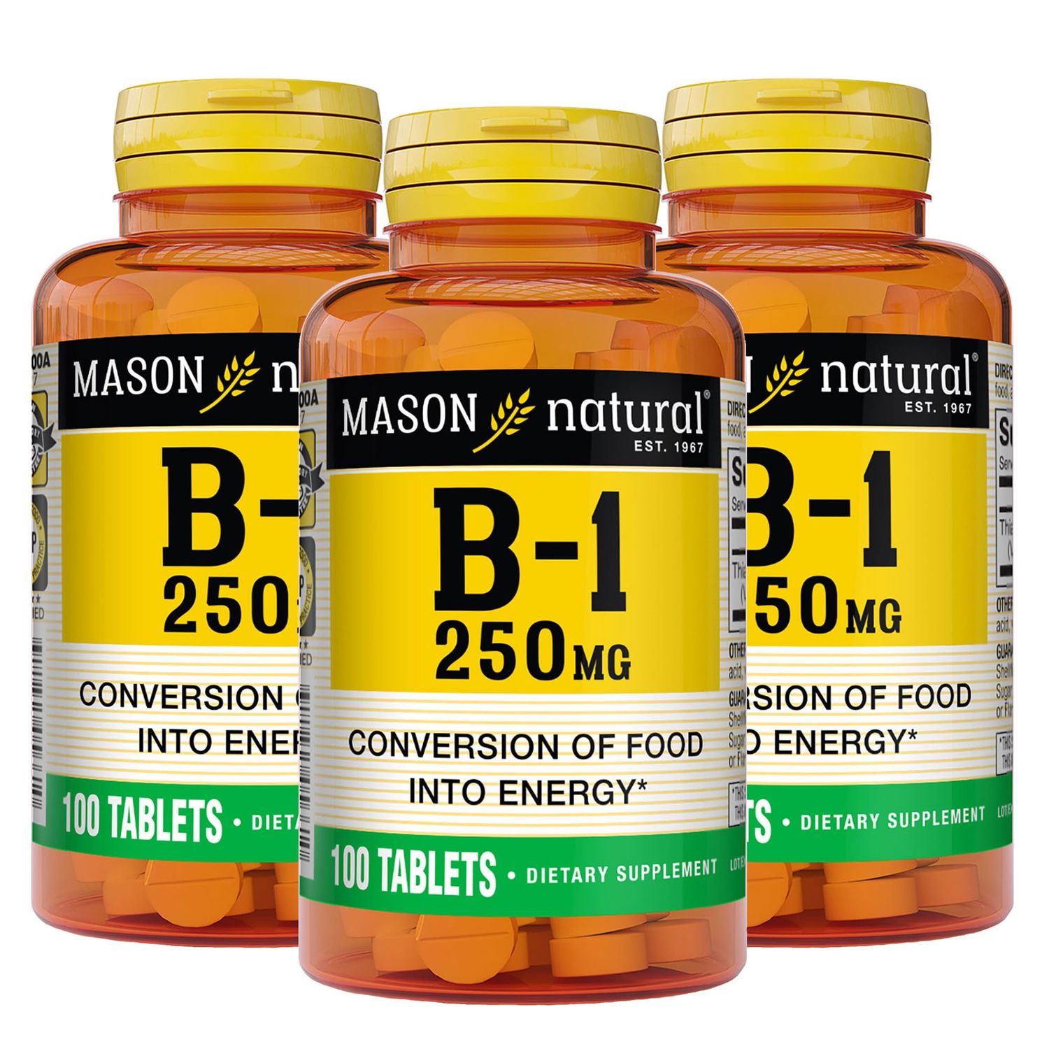 MASON NATURAL Vitamin B1 Thiamine 250 mg, 300-Day Supply, Dietary Supplement to Support Natural Energy Levels, 100 Tablets (Pack of 3)