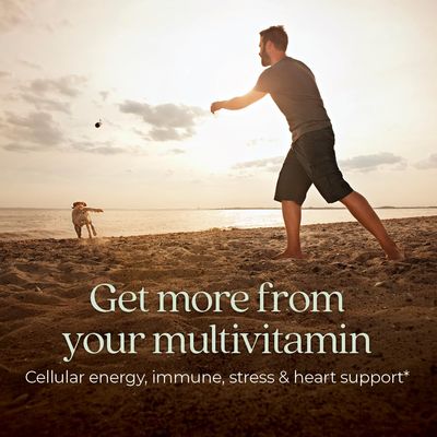 New Chapter Men's Multivitamin for Immune, Stress, Heart + Energy Support with Fermented Nutrients - Every Man's One Daily, Made with Organic Vegetables &amp; Herbs, Non-GMO, Gluten Free - 72 ct