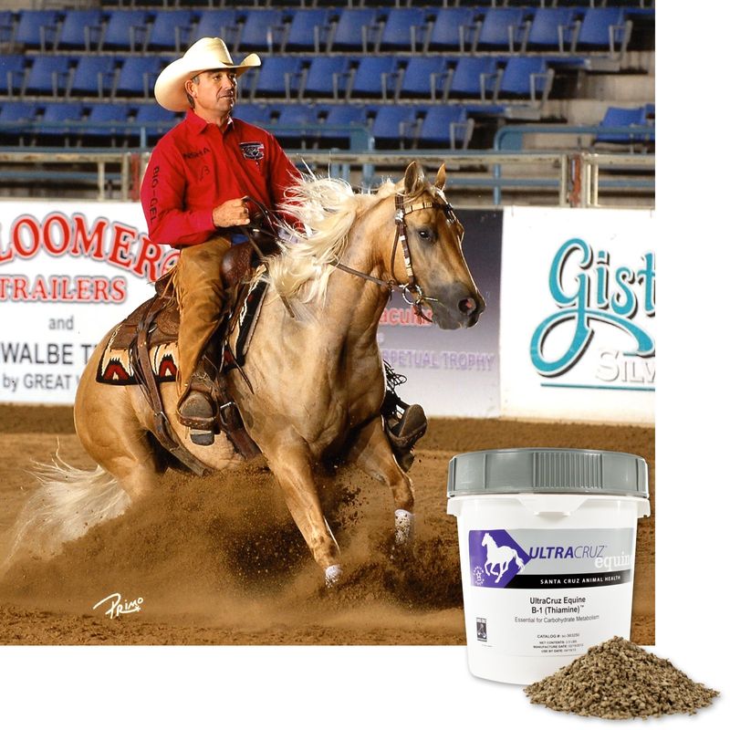 UltraCruz Equine Vitamin B-1 Supplement for Horses, 2.5 lb Pellet