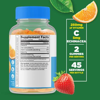 Lifeable Sugar Free Vitamin C - 250 mg - with Echinacea - Great Tasting Natural Flavor Gummy Supplement - Vegetarian GMO-Free Chewable Vitamins - for Immune Support - for Adults - 90 Gummies