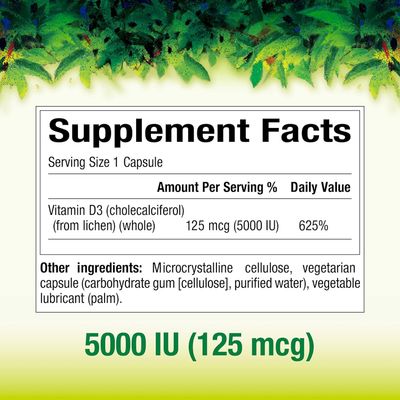 Natural Factors Whole Earth &amp; Sea Vitamin D3 125mcg (5,000 IU), Vegan Bioenhanced, 60 Vegetarian Capsules