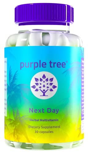 purple tree Next Day, Post-Celebration Wellness - Take Tomorrow | Replenish &amp; Feel Your Best | Ashwagandha, Ginger, Peppermint, Milk Thistle, Electrolytes, Vitamins, 30 Pills