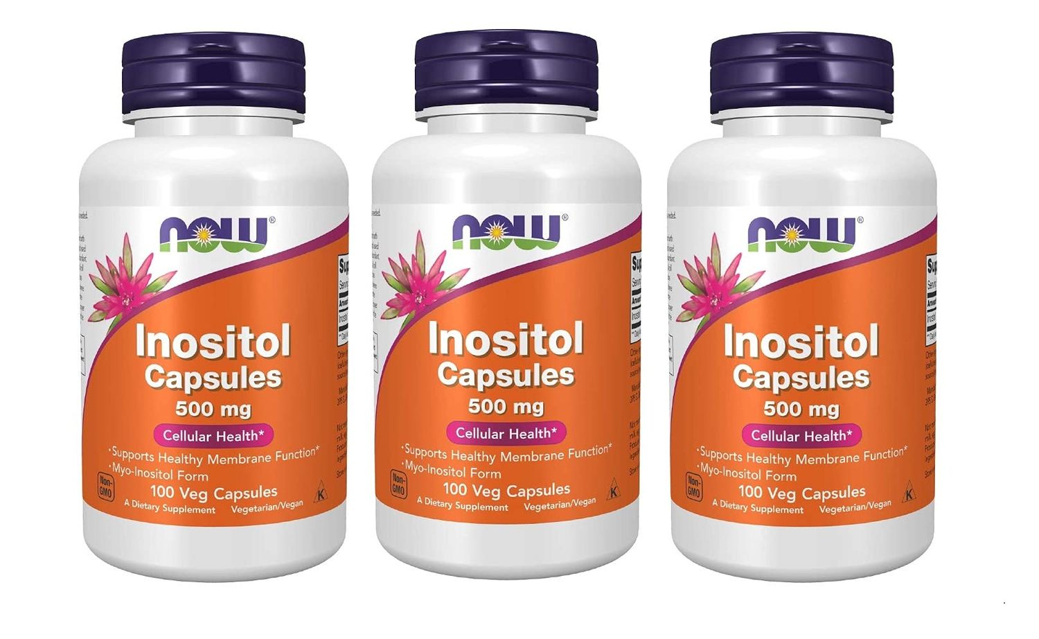 NOW Foods Foods Inositol 500mg,100 Capsules (Pack of 3)