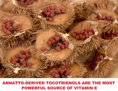 Ground Annatto Seed Powder Bulk Bag 1 Pound-The Most Powerful Source of Vitamin E Tocotrienols
