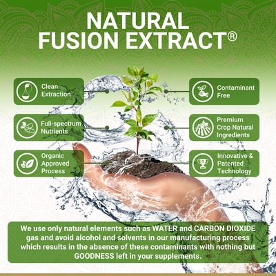 Organic Amla Capsules - Vitamin C | USDA Organic Certified | Whole Food Plant Based Vitamin C | Amalaki Supplement | Derived from Amla Fruit | Indian Gooseberry | Vegan | Ayurveda | 60 Amala Pills