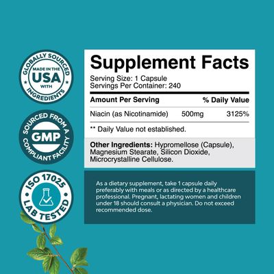Vitamin B3 Niacinamide 500mg Capsules - Mitochondrial Energy and Potent Skin Supplement - AKA Vitamin B3 Niacin 500mg Flush Free and Nicotinamide 500mg - Flush Free Niacin Supplement - 240 Count