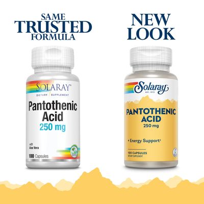 Solaray Pantothenic Acid 250mg | Vitamin B5 | Energy Metabolism, Hair, Skin, Nails &amp; Digestive Support | 100CT