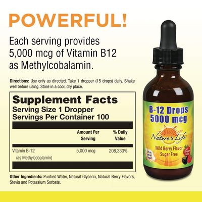 Nature's Life B-12 Drops, Methlycobalamin 4 oz (2 Fl Oz (Pack of 1))